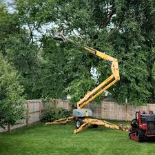 Best Pest Control for Lawns  in Gillette, WY