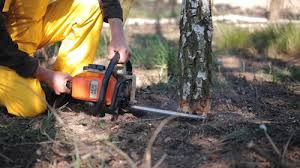 Best Utility Line Clearance  in Gillette, WY