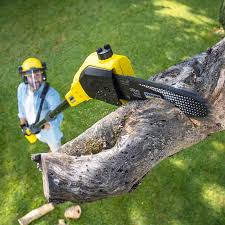 Best Aeration Services  in Gillette, WY